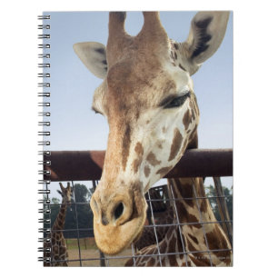 Giraffe Notebook