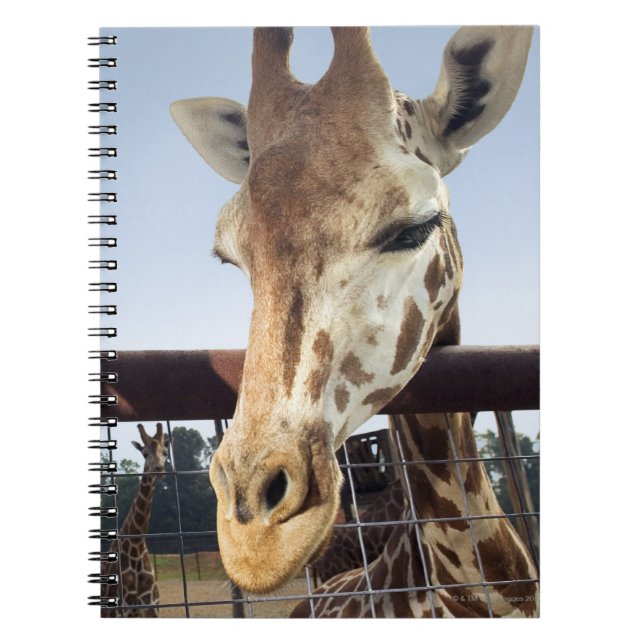 Giraffe Notebook (Front)