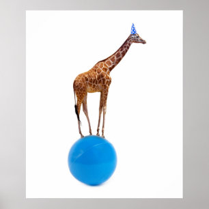 Giraffe on the ball poster
