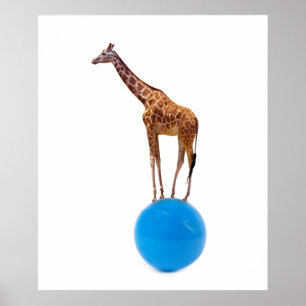 Giraffe on the ball poster