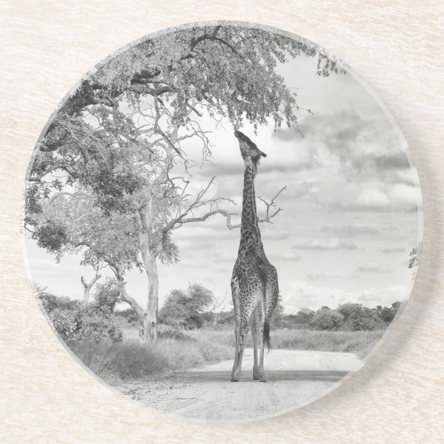 Giraffe on the road coaster (Front)