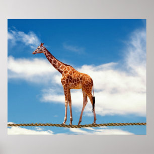 Giraffe on the wall poster