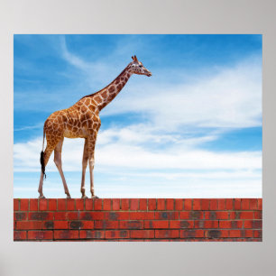 Giraffe on the wall poster