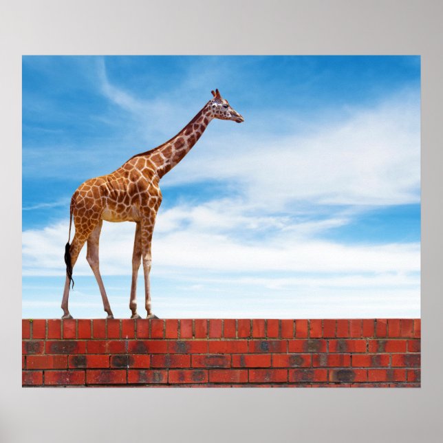Giraffe on the wall poster (Front)
