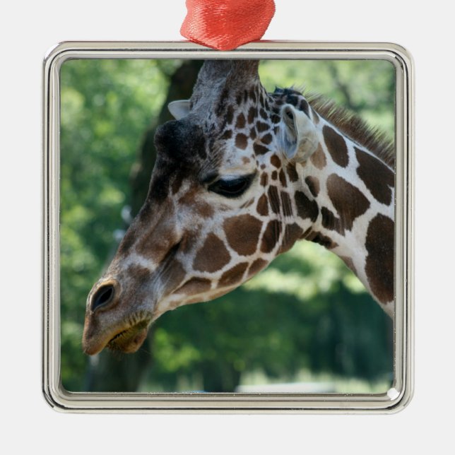 Giraffe Ornament (Front)