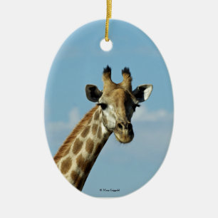 Giraffe ornament
