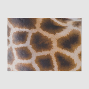 Giraffe Patches Spotted Skin Texture Template Tissue Paper