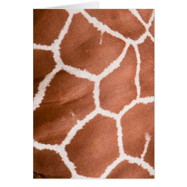 Giraffe pattern (Front)