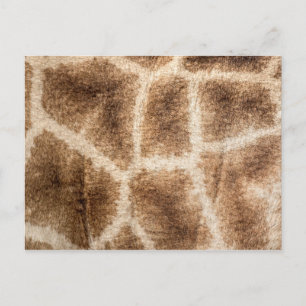 Giraffe pattern postcard