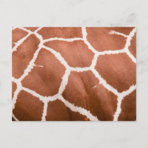 Giraffe pattern postcard