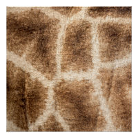 Giraffe pattern
