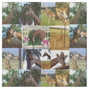 Giraffe Photo Collage, Fabric