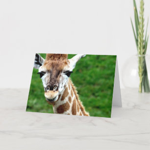 Giraffe Photo Greeting Card