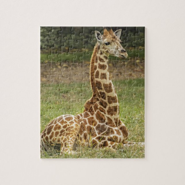 Giraffe Photo Jigsaw Puzzle (Vertical)