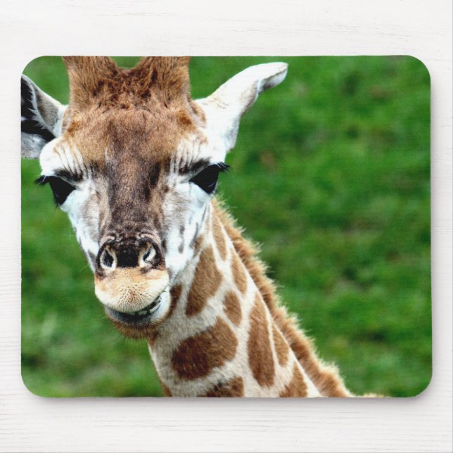 Giraffe Photo Mouse Pad (Front)