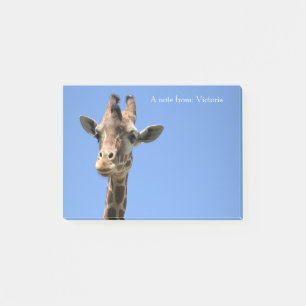 Giraffe Photo Post-it Notes