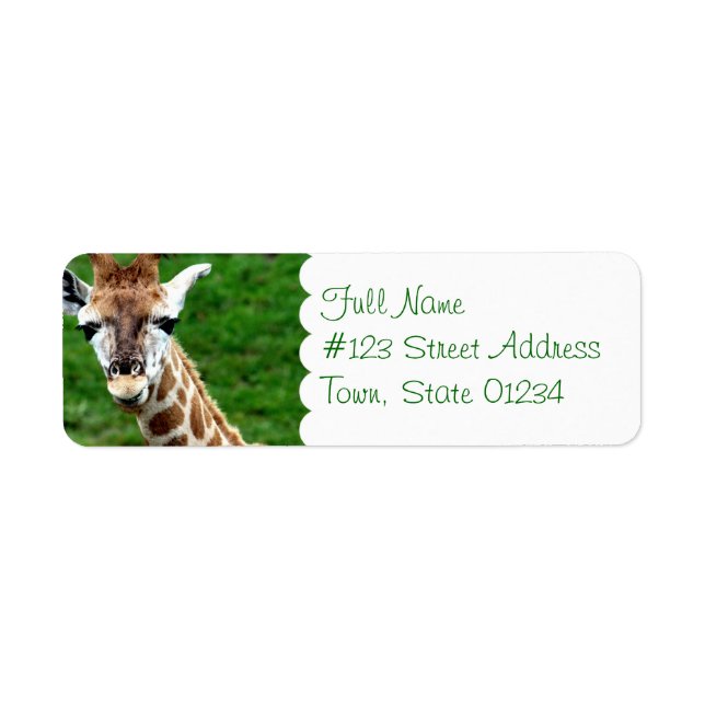 Giraffe Photo Return Address Mailing Label (Front)