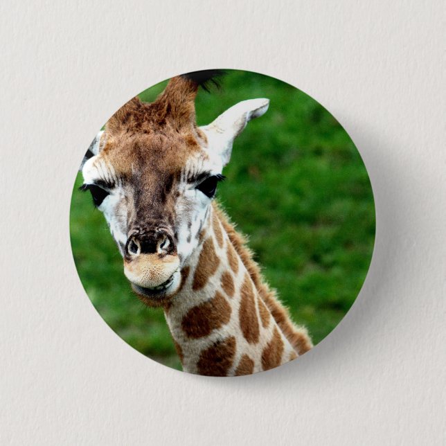 Giraffe Photo Round Button (Front)