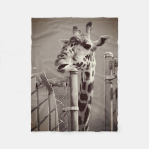 Giraffe Photograph - Vintage Style Fleece Blanket