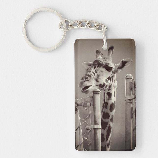 Giraffe Photograph - Vintage Style Key Ring (Front)