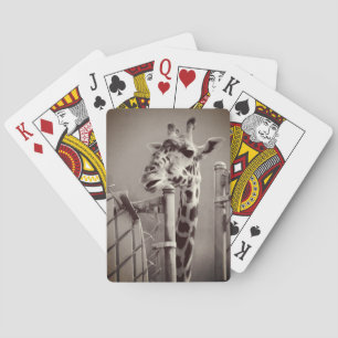 Giraffe Photograph - Vintage Style  Playing Cards