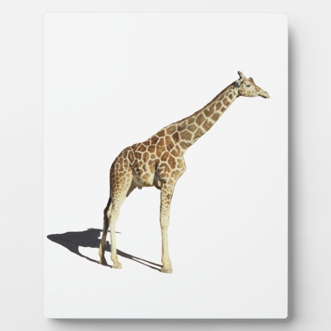Giraffe Plaque (Front)