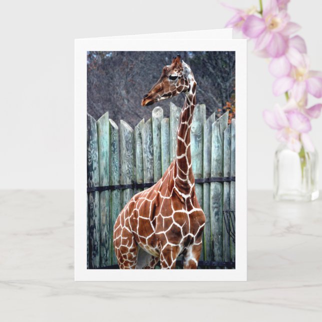 Giraffe Portrait Card (Orchid)