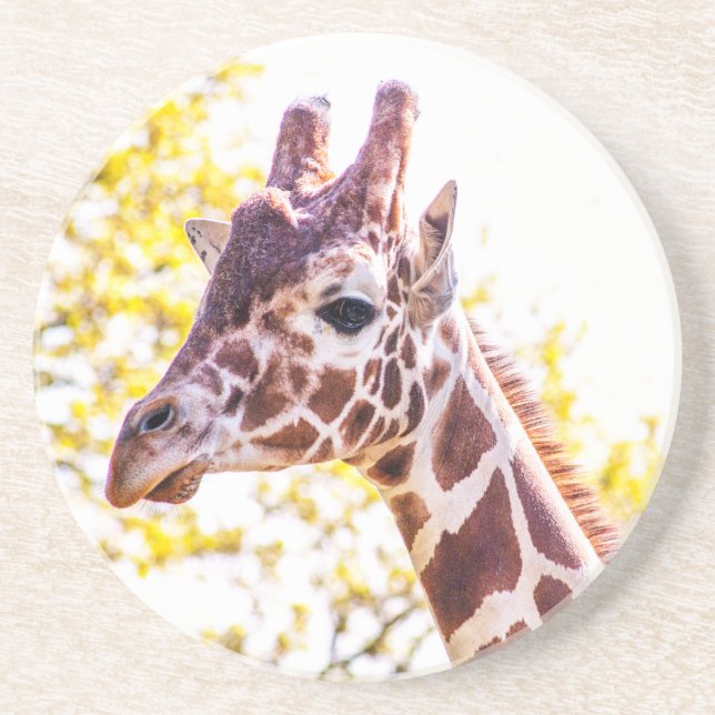 Giraffe Portrait Coaster (Front)