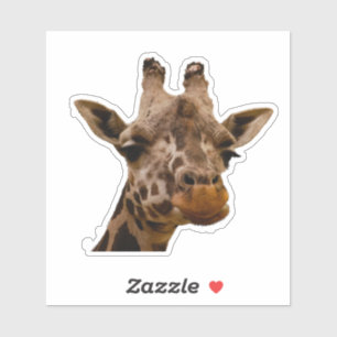 Giraffe portrait contour sticker