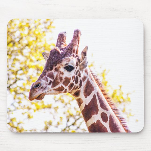 Giraffe Portrait Mouse Pad (Front)
