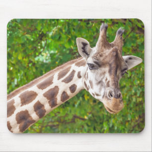 Giraffe Portrait - Mousepad