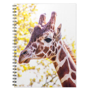 Giraffe Portrait Notebook