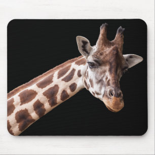 Giraffe Portrait on Black Mouse Pad
