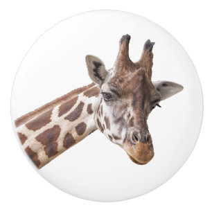Giraffe Portrait on White Ceramic Knob