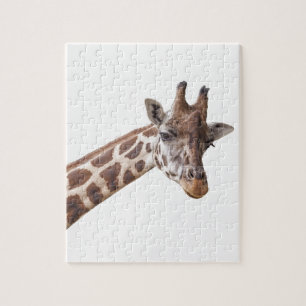 Giraffe Portrait on White Jigsaw Puzzle
