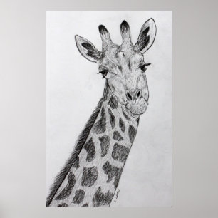 Giraffe Portrait Pencil Sketch Drawing Art Print