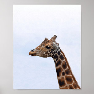 Giraffe Portrait Photo 106 Poster