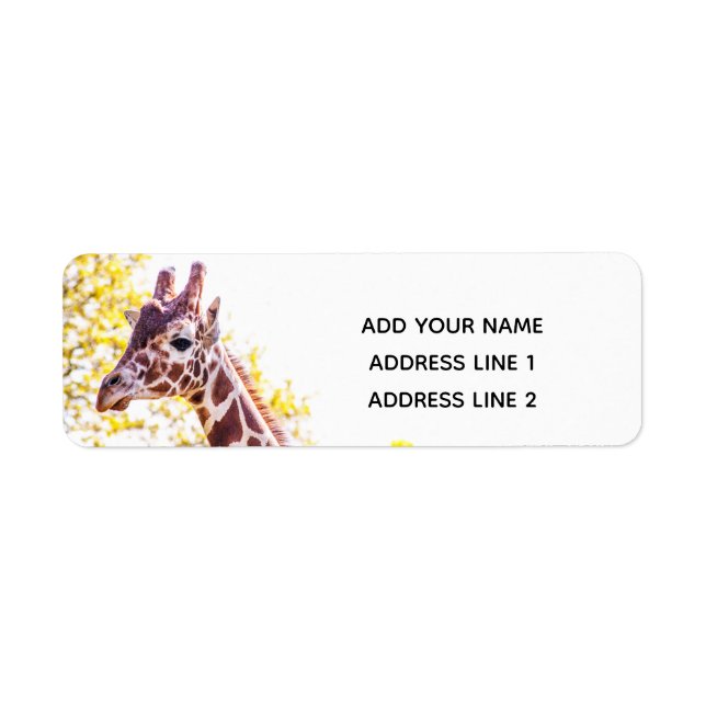 Giraffe Portrait Return Address Label (Front)