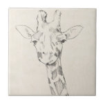 Giraffe Portrait | Sketch Ceramic Tile<br><div class="desc">This neutral coloured sketch features a smiling giraffe | By Jennifer Goldberger</div>