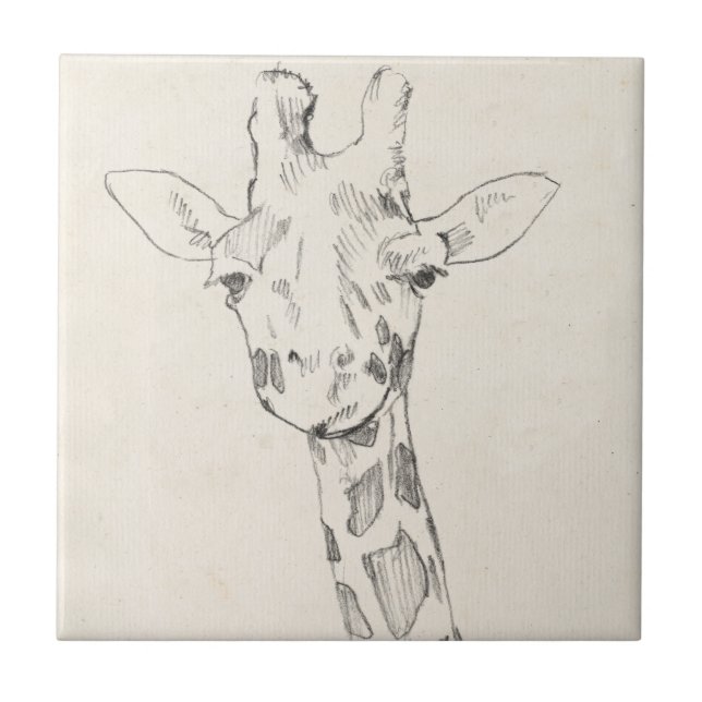 Giraffe Portrait | Sketch Ceramic Tile (Front)