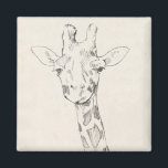 Giraffe Portrait | Sketch Magnet<br><div class="desc">This neutral coloured sketch features a smiling giraffe | By Jennifer Goldberger</div>