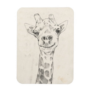 Giraffe Portrait Sketch Magnet