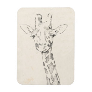 Giraffe Portrait Sketch Magnet