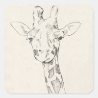 Giraffe Portrait | Sketch