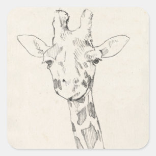 Giraffe Portrait   Sketch Square Sticker