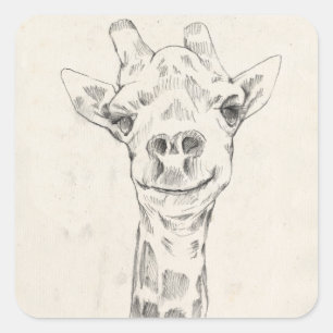 Giraffe Portrait Sketch Square Sticker
