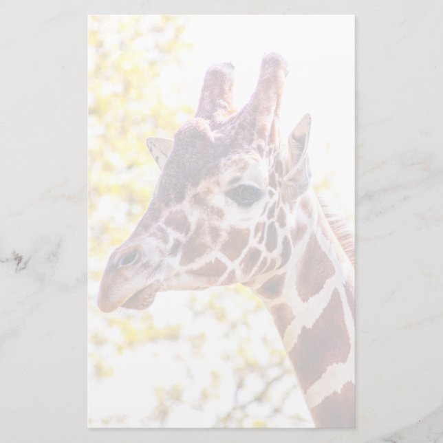 Giraffe Portrait Stationery (Front)