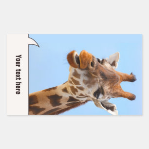 Giraffe Portrait stickers