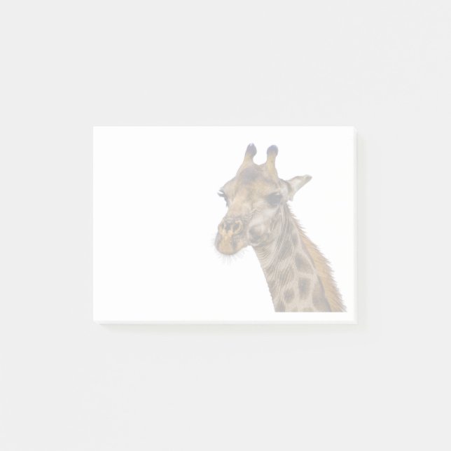 Giraffe Post It Notes (Front)