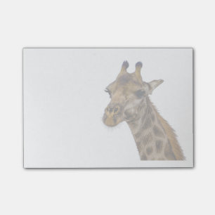 Giraffe Post It Notes